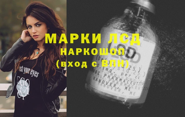 гашик Арсеньев